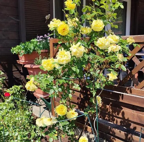 게스트하우스 Gaestehaus Luitz-kennerknecht *